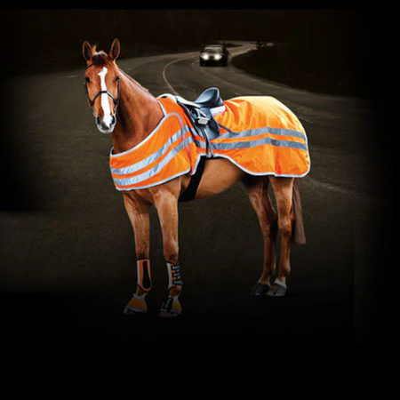 Horse / Saddlery